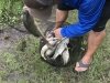 IMG-7702