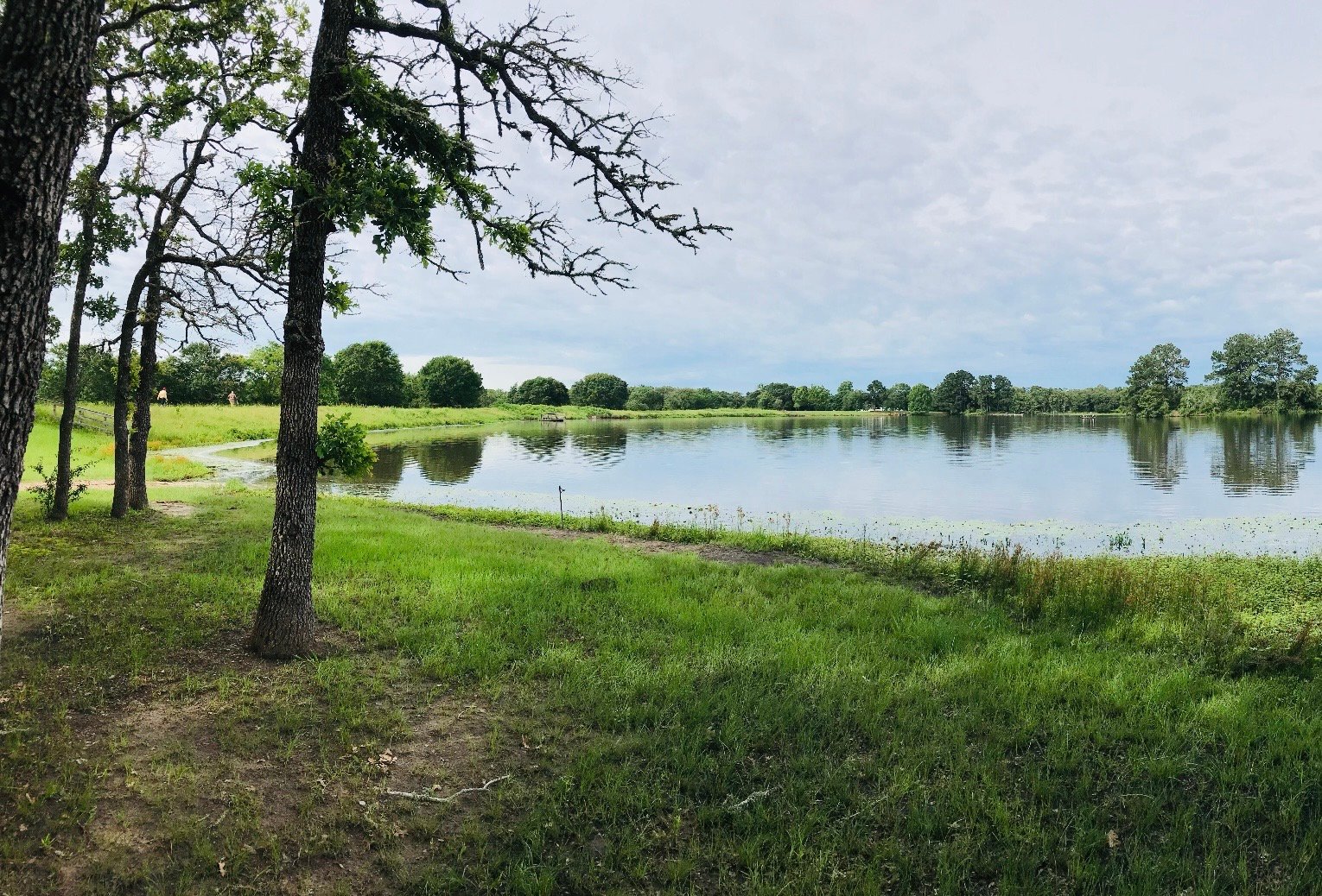 Woodlake lake