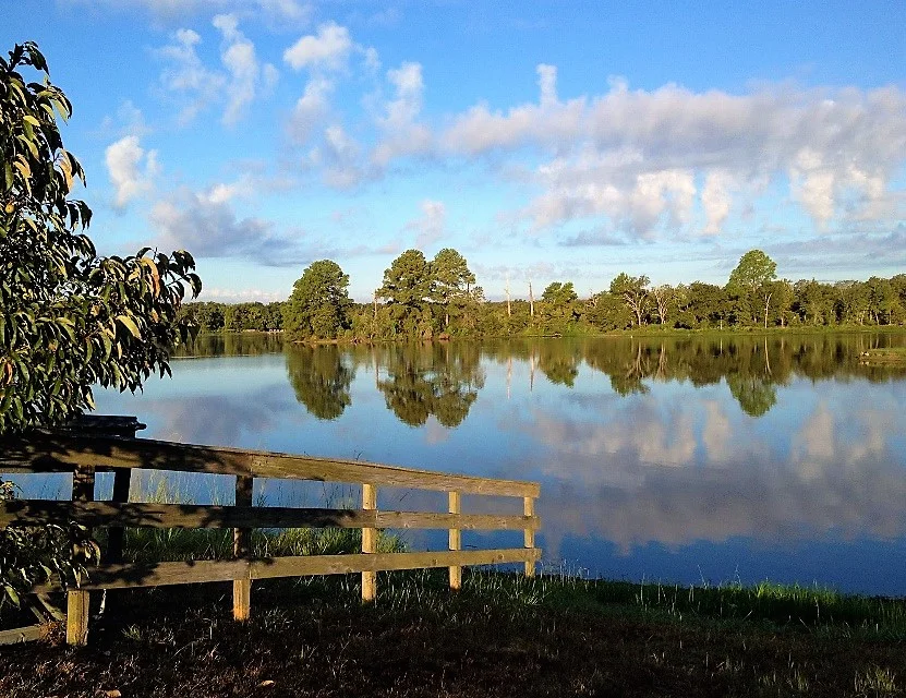 Lake at Woodlake